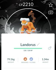Shiny Landorus Therian Black version background – MlNl P T C – Read Description