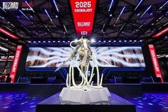 2025 ChinaJoy Blizzard Limited Coins(Warcraft/Diablo/Overwatch/Hearthstone)