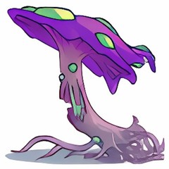 Neopets – Hungry Fungus – Virtual Items – Fast and Safe