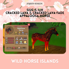 🐎 Wild Horse Islands 🐎 Special Island Unique Coat & Island Unique Hair