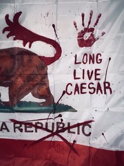 Fallout New Vegas California Republic Flag (Vandalized By Legion) Flag